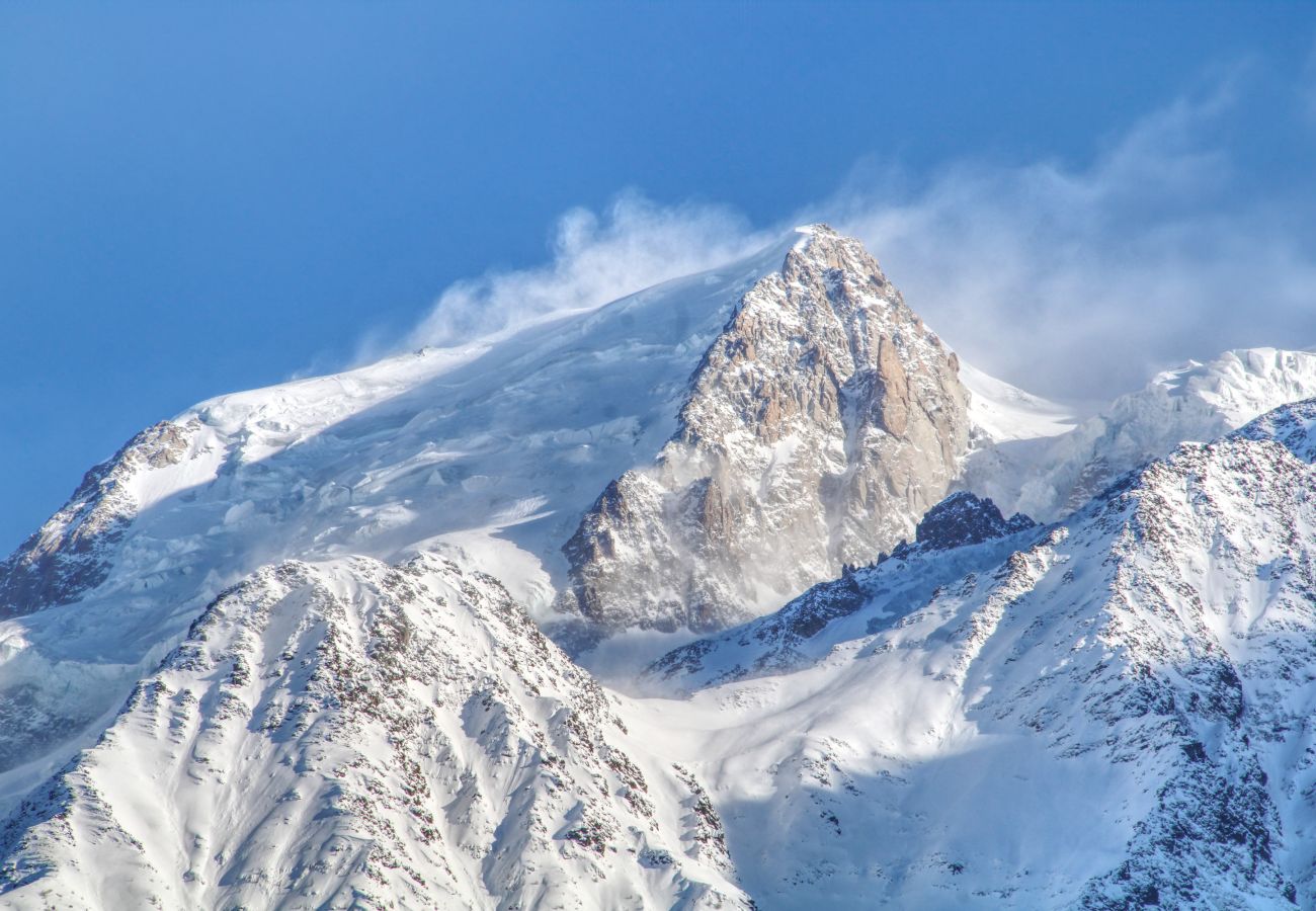 Appartement à Les Houches - Apartment Aiguille Rose