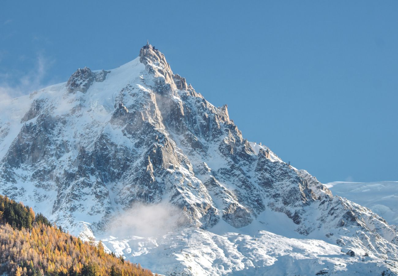 Appartement à Chamonix-Mont-Blanc - Apartment Safi