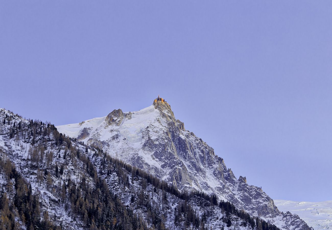 Apartment in Chamonix-Mont-Blanc - Serenite
