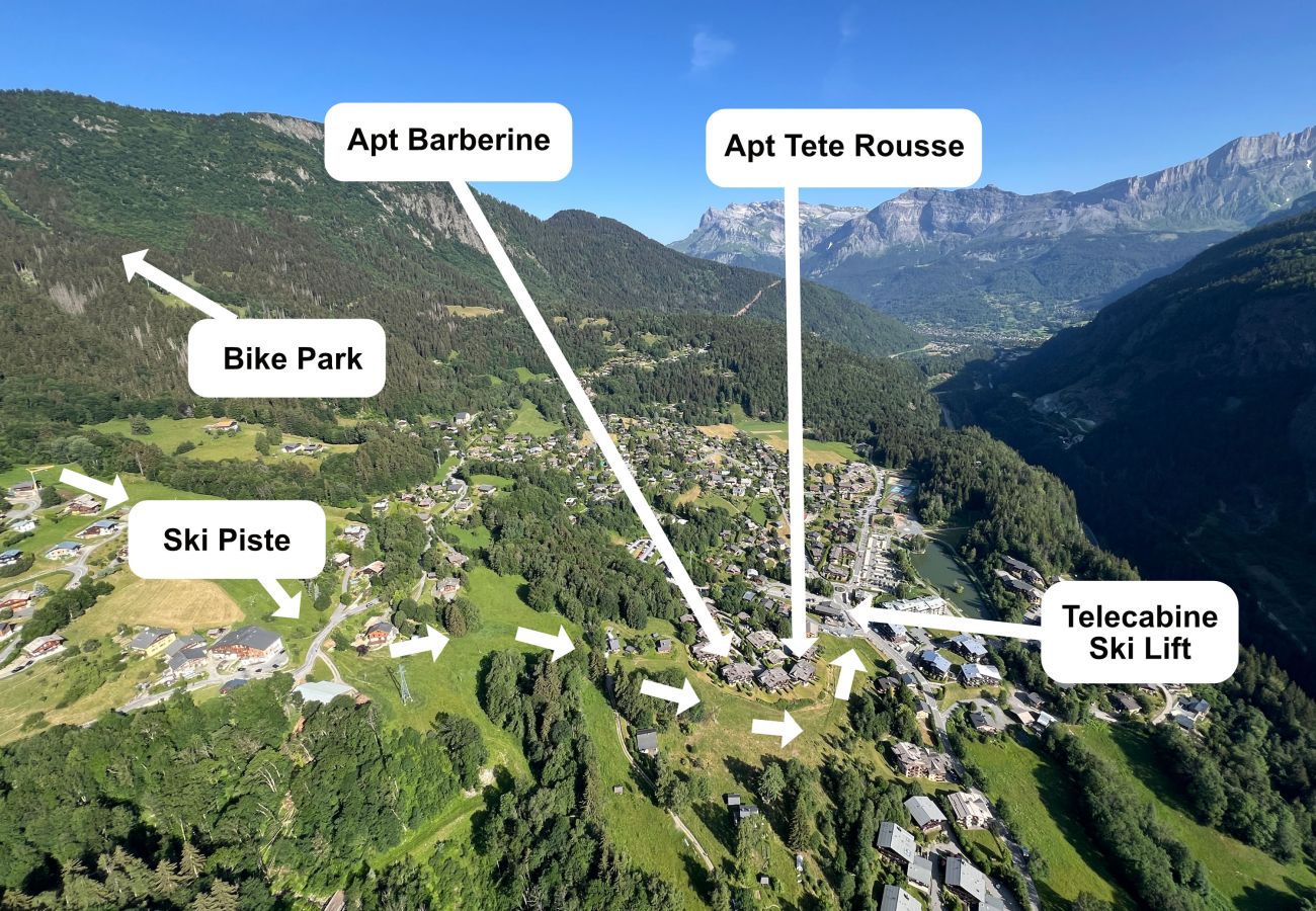 Apartment in Les Houches - Apartment Tête Rousse | Les Houches