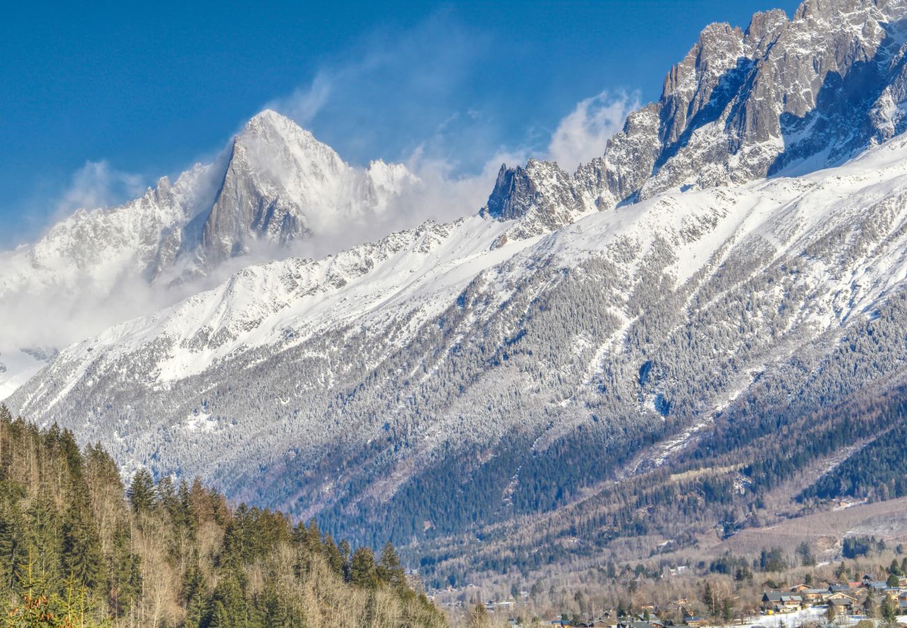 Apartment in Les Houches - Apartment Aiguille Rose