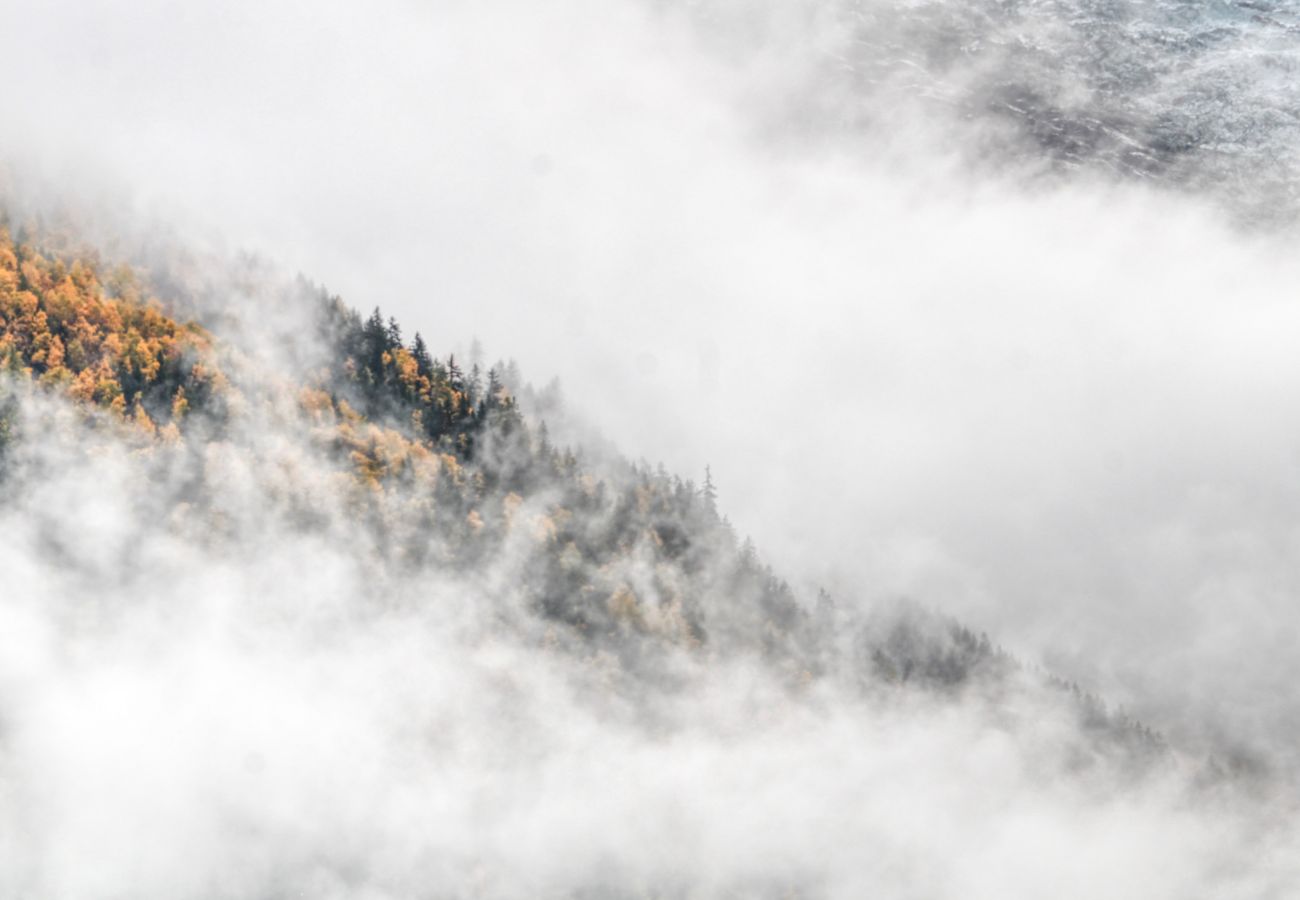 Apartment in Chamonix-Mont-Blanc - Apartment Safi