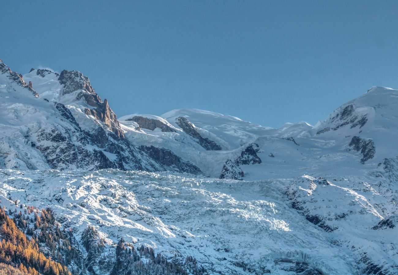 Apartment in Chamonix-Mont-Blanc - Apartment Safi