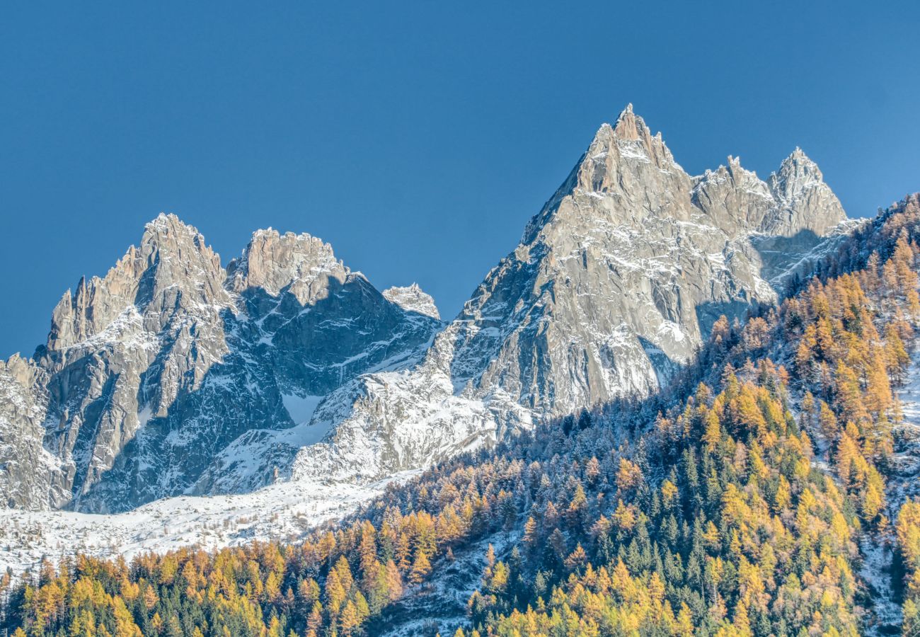 Apartment in Chamonix-Mont-Blanc - Apartment Safi