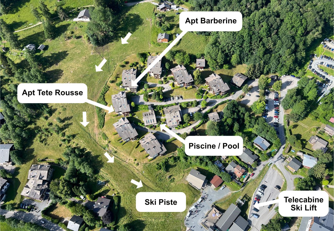 Apartment in Les Houches - Apartment Barberine | Les Houches