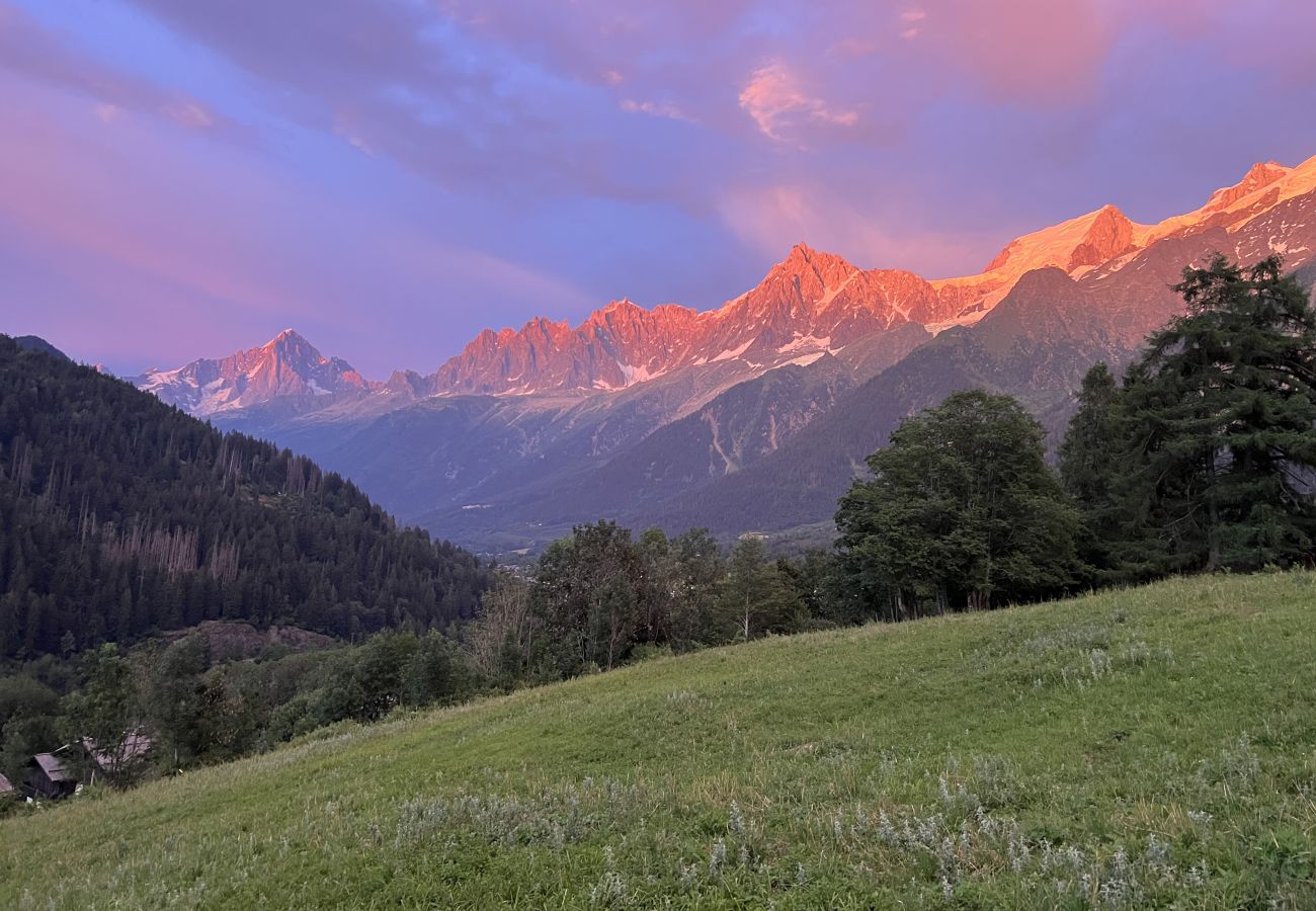 Apartment in Les Houches - Apartment Barberine | Les Houches