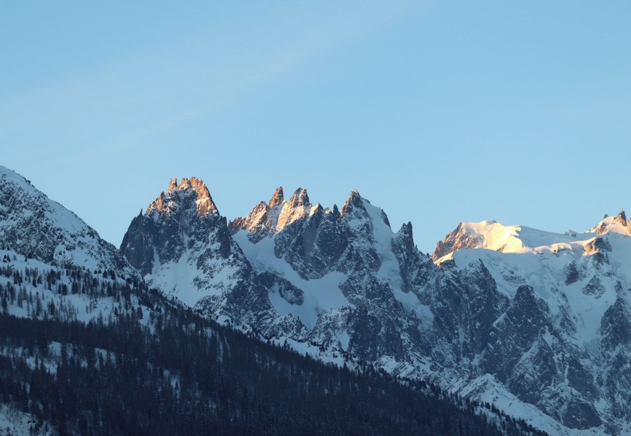Apartment in Chamonix-Mont-Blanc - Apartment Peak Horizon