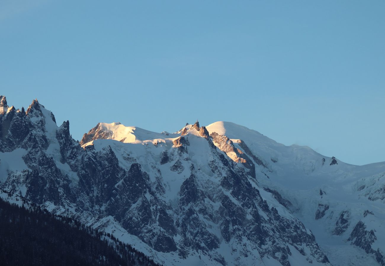 Apartment in Chamonix-Mont-Blanc - Apartment Peak Horizon